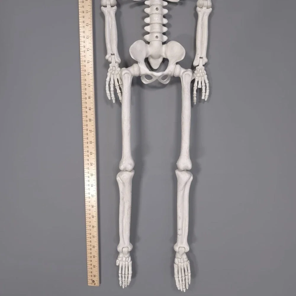 36